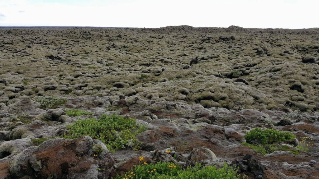 Iceland Lava Fields