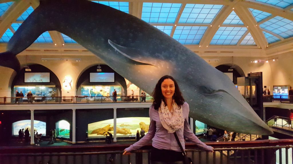 American Museum of Natural History