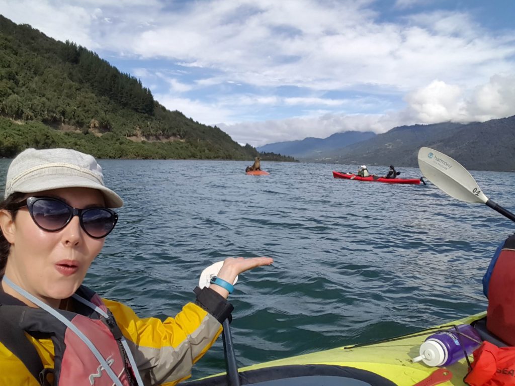 Kayaking in Patagonia in the Reloncavi Fjord