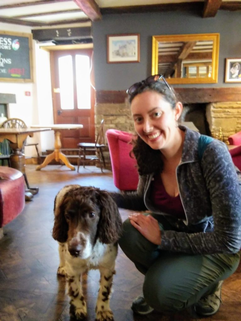 The dog at Kilverts Inn in Wales