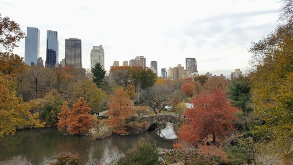 Central Park TV & Movie Sites Tour