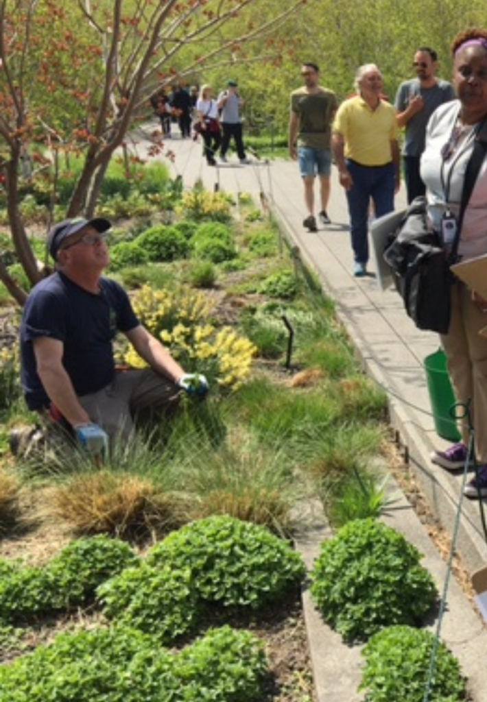 The highline free tour