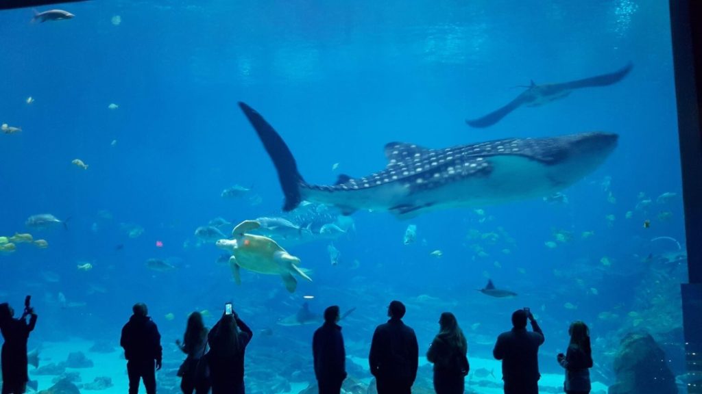 Georgia Aquarium