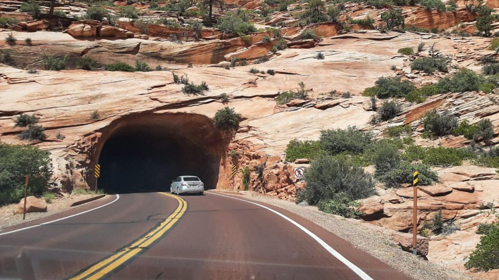 Canyon Overlook Trail: best hiking trails in zion national park