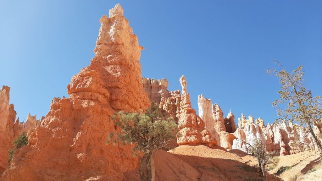 Queens Garden Trail Hoodoos - best hikes in Bryce Canyon