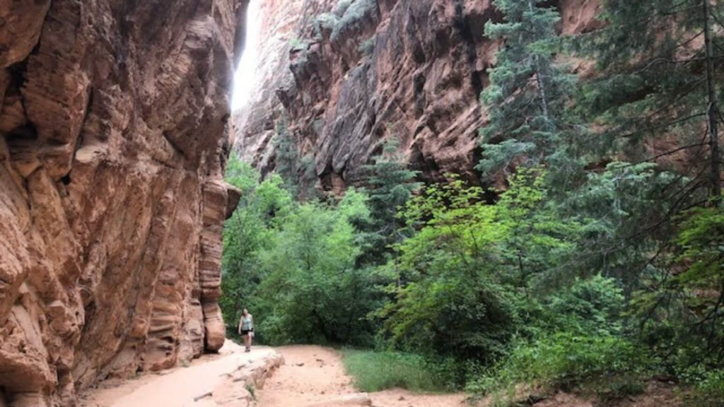 West Rim Trail Zion: top hikes in zion national park