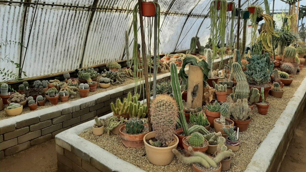 Cactarium at Moorten Botanical Gardens