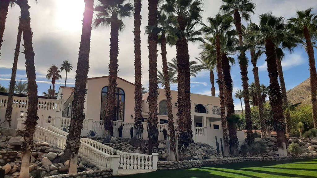 Mesa, Palm Springs home with palm trees