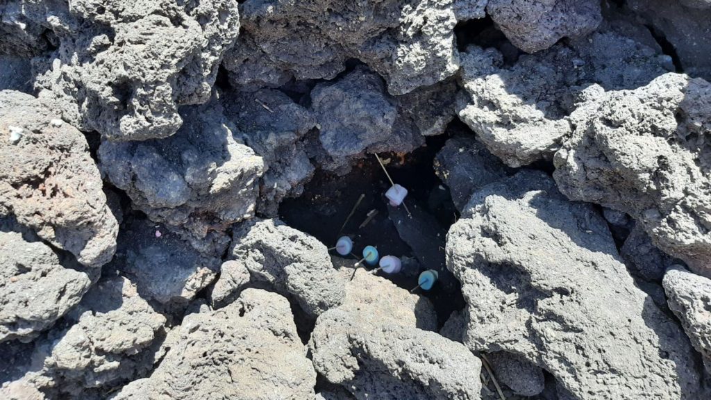 Roasting Marshmallows on Pacaya Volcano
