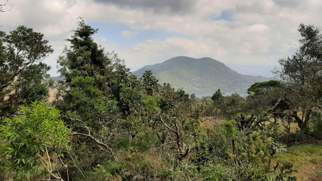 Views from the Pacaya Volcano Forest Trail