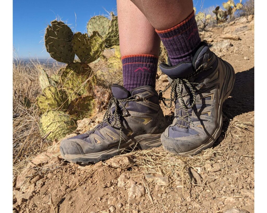 Hiking Socks in front of cacti