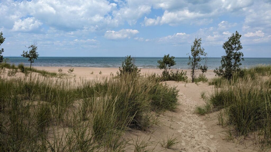 Paul H. Douglas Trail to the beach - Indiana Dunes National Park