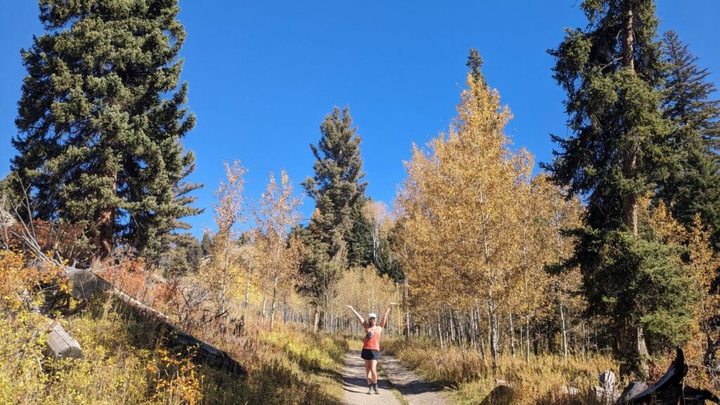 Slough Creek Trail in the fall
